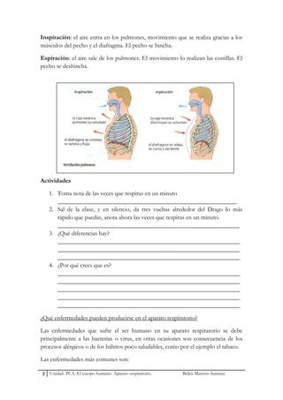 Inspiración: el aire entra en los pulmones, movimiento que se realiza gracias a los
músculos del pecho y el diafragma. El ...