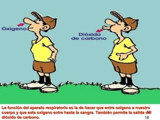 La función del aparato respiratorio es la de hacer que entre oxígeno a nuestro cuerpo y que este oxígeno entre hasta la sangre. También permite la salida del dióxido de carbono.   18 
