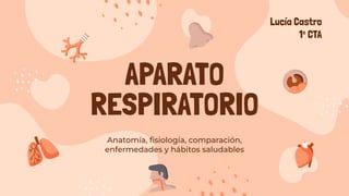 Anatomía, ﬁsiología, comparación,
enfermedades y hábitos saludables
Lucía Castro
1º CTA
APARATO
RESPIRATORIO
 