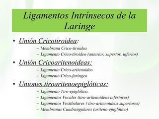 Ligamentos Intrínsecos de la Laringe Unión Cricotiroidea :  Membrana Crico-tiroidea  Ligamento Crico-tiroideo (anterior, superior, inferior) Unión Cricoaritenoideas: Ligamento Crico-aritenoideo Ligamento Crico-faringeo Uniones tiroaritenoepiglóticas: Ligamento Tiro-epiglótico. Ligamentos Vocales (tiro-aritenoideos inferiores) Ligamentos Vestibulares ( tiro-aritenoideos superiores) Membranas Cuadrangulares (ariteno-epiglótico) 