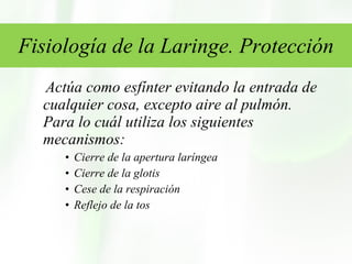 Fisiología de la Laringe. Protección Actúa como esfínter evitando la entrada de cualquier cosa, excepto aire al pulmón. Para lo cuál utiliza los siguientes mecanismos:  Cierre de la apertura laríngea  Cierre de la glotis  Cese de la respiración  Reflejo de la tos  