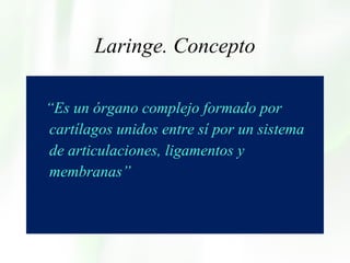 Laringe. Concepto “ Es un órgano complejo formado por cartílagos unidos entre sí por un sistema de articulaciones, ligamentos y  membranas” 