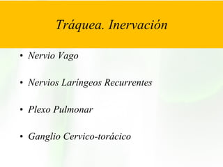 Tráquea. Inervación   Nervio Vago Nervios Laríngeos Recurrentes Plexo Pulmonar Ganglio Cervico-torácico 