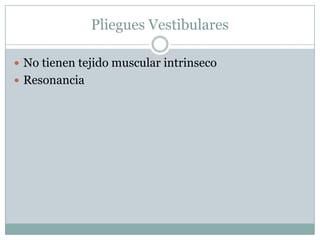 PlieguesVestibularesNo tienentejido muscular intrinsecoResonancia