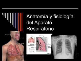 Anatomía y fisiología
del Aparato
Respiratorio
 