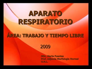 APARATO
    RESPIRATORIO
ÁREA: TRABAJO Y TIEMPO LIBRE

            2009
            MSc. Marta Fuentes
            Prof. Adjunta Morfología Normal
            U.N.L.
 