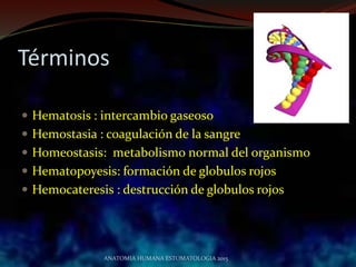 Términos
 Hematosis : intercambio gaseoso
 Hemostasia : coagulación de la sangre
 Homeostasis: metabolismo normal del organismo
 Hematopoyesis: formación de globulos rojos
 Hemocateresis : destrucción de globulos rojos
ANATOMIA HUMANA ESTOMATOLOGIA 2015
 