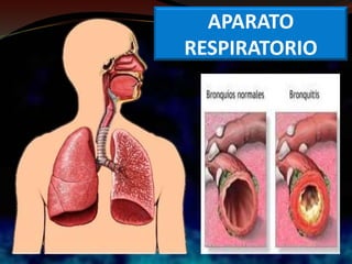 APARATO
RESPIRATORIO
 
