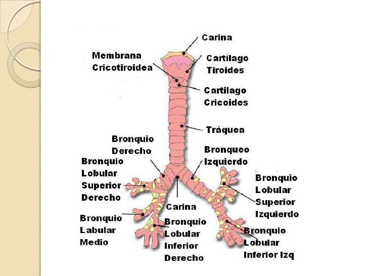 Ver las imágenes de origen