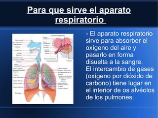 Para que sirve el aparato
      respiratorio
              - El aparato respiratorio
              sirve para absorber el
              oxígeno del aire y
              pasarlo en forma
              disuelta a la sangre.
              El intercambio de gases
              (oxígeno por dióxido de
              carbono) tiene lugar en
              el interior de os alvéolos
              de los pulmones.
 