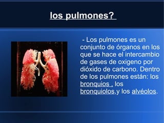 los pulmones?

       - Los pulmones es un
      conjunto de órganos en los
      que se hace el intercambio
      de gases de oxigeno por
      dióxido de carbono. Dentro
      de los pulmones están: los
      bronquios , los
      bronquiolos,y los alvéolos.
 