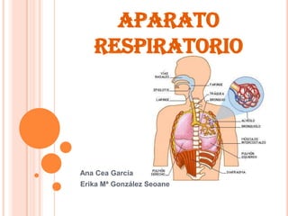 APARATO RESPIRATORIO    Ana Cea García    Erika Mª González Seoane  