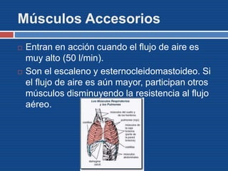 Músculos Accesorios
 Entran en acción cuando el flujo de aire es
muy alto (50 l/min).
 Son el escaleno y esternocleidomastoideo. Si
el flujo de aire es aún mayor, participan otros
músculos disminuyendo la resistencia al flujo
aéreo.
 