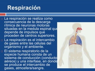Respiración
 La respiración se realiza como
consecuencia de la descarga
rítmica de neuronas motoras
situadas en la medula espinal que
depende de impulsos que
proceden de centros superiores.
 La respiración es el intercambio
de gases entre las células del
organismo y el ambiente.
 El sistema respiratorio de la
especie humana consta de un
sistema de conducción (conductos
aéreos) y una interfase, en donde
se produce el intercambio de
gases, atmosfera/sangre.
 