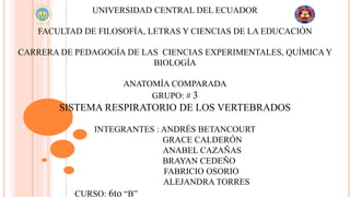 UNIVERSIDAD CENTRAL DEL ECUADOR
FACULTAD DE FILOSOFÍA, LETRAS Y CIENCIAS DE LA EDUCACIÓN
CARRERA DE PEDAGOGÍA DE LAS CIENCIAS EXPERIMENTALES, QUÍMICA Y
BIOLOGÍA
ANATOMÍA COMPARADA
GRUPO: # 3
SISTEMA RESPIRATORIO DE LOS VERTEBRADOS
INTEGRANTES : ANDRÉS BETANCOURT
GRACE CALDERÓN
ANABEL CAZAÑAS
BRAYAN CEDEÑO
FABRICIO OSORIO
ALEJANDRA TORRES
CURSO: 6to “B”
 