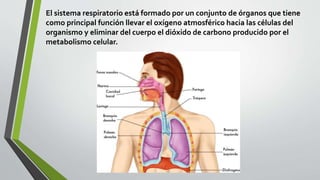 El sistema respiratorio está formado por un conjunto de órganos que tiene
como principal función llevar el oxígeno atmosférico hacia las células del
organismo y eliminar del cuerpo el dióxido de carbono producido por el
metabolismo celular.
 