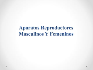 Aparatos Reproductores
Masculinos Y Femeninos
 