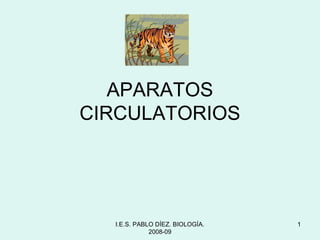 I.E.S. PABLO DÍEZ. BIOLOGÍA.
2008-09
1
APARATOS
CIRCULATORIOS
 