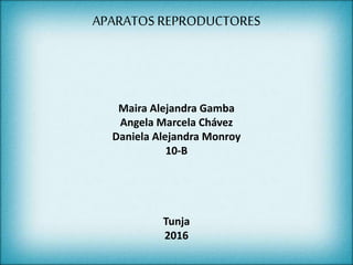 APARATOS REPRODUCTORES
Maira Alejandra Gamba
Angela Marcela Chávez
Daniela Alejandra Monroy
10-B
Tunja
2016
 