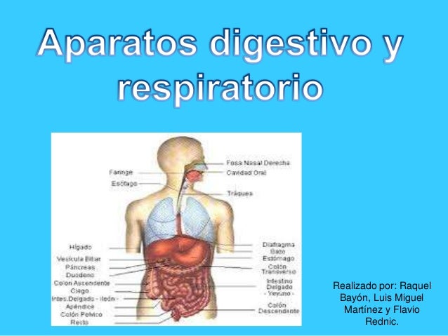 temas de powerpoint
