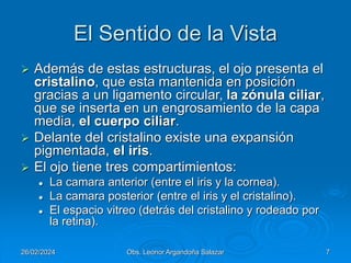 APARATO SENSORIAL AREA DE LA VISIÓN 2024 | PPT