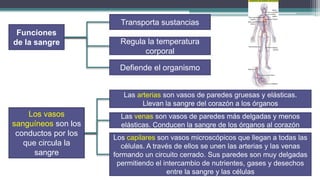 Transporta sustancias
 Funciones
de la sangre           Regula la temperatura
                             corporal

                       Defiende el organismo


                        Las arterias son vasos de paredes gruesas y elásticas.
                              Llevan la sangre del corazón a los órganos
    Los vasos          Las venas son vasos de paredes más delgadas y menos
sanguíneos son los     elásticas. Conducen la sangre de los órganos al corazón
 conductos por los
                     Los capilares son vasos microscópicos que llegan a todas las
   que circula la       células. A través de ellos se unen las arterias y las venas
      sangre         formando un circuito cerrado. Sus paredes son muy delgadas
                      permitiendo el intercambio de nutrientes, gases y desechos
                                       entre la sangre y las células
 