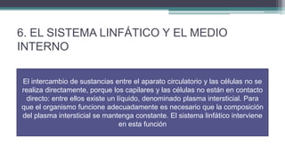 6. EL SISTEMA LINFÁTICO Y EL MEDIO
INTERNO

El intercambio de sustancias entre el aparato circulatorio y las células no se
realiza directamente, porque los capilares y las células no están en contacto
 directo: entre ellos existe un líquido, denominado plasma intersticial. Para
que el organismo funcione adecuadamente es necesario que la composición
del plasma intersticial se mantenga constante. El sistema linfático interviene
                                 en esta función
 