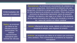 Aterosclerosis: se produce por acumulación de colesterol en
                         los vasos sanguíneos, disminuyendo el diámetro del vaso
                       sanguíneo, circulando la sangre con mayor dificultad. Cuando
Enfermedades del       el vaso se tapona se produce una embolia. Otras veces esos
aparato circulatorio      acúmulos se desprenden taponando vasos de pequeño
                        diámetro, los tapona y dan lugar a un infarto. Si se produce
                        en los vasos coronarios es un infarto de miocardio y si es en
                                  los vasos del cerebro un infarto cerebral

Soplos: se producen
  por fallos en las     Varices: inflamación de las venas, debido a la dificultad que
 válvulas auriculo-            presenta la sangre para regresar al corazón
  ventriculares. Se
       realizan
   intervenciones
                       Arritmias: se producen por fallos en el nódulo que controla el
  quirúrgicas para
                       ritmo cardíaco. Para contrarrestar el problema se implantan
cambiar las válvulas
                                               marcapasos
 