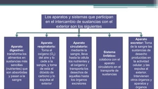 Los aparatos y sistemas que participan
                         en el intercambio de sustancias con el
                                exterior son los siguientes


                                                                                   Aparato
                       Aparato             Aparato                            excretor: Toma
     Aparato        respiratorio:       circulatorio:                         de la sangre las
    digestivo:         Toma el           mediante la                           sustancias de
                                                               Sistema
 transforma los     oxígeno (O2)        sangre, lleva                              desecho
                                                              linfático:
  alimentos en       del aire y lo     hasta la célula                         producidas en
                                                         colabora con el
sustancias más        cede a la       los nutrientes y                          la actividad
                                                               aparato
     sencillas     sangre, y toma       el oxígeno y                            celular, y las
                                                         circulatorio en el
(nutrientes) que      de esta el       transporta los                             expulsa al
                                                           transporte de
son absorbidas        dióxido de        desechos de                                exterior.
                                                             sustancias
   y pasan a la      carbono y lo      aquellas hasta                            Intervienen
      sangre          expulsa al         los órganos                          otros órganos y
                       exterior           excretores                              aparatos y
                                                                                   órganos
 