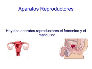 Aparatos Reproductores
Hay dos aparatos reproductores el femenino y el
masculino.
 