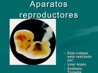 Aparatos reproductores ,[object Object],[object Object],[object Object]