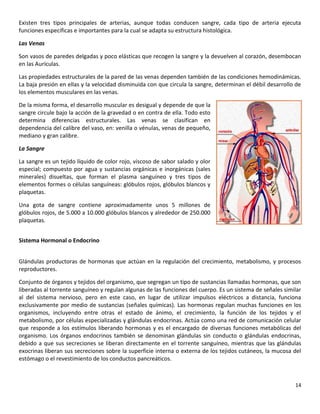 14
Existen tres tipos principales de arterias, aunque todas conducen sangre, cada tipo de arteria ejecuta
funciones específicas e importantes para la cual se adapta su estructura histológica.
Las Venas
Son vasos de paredes delgadas y poco elásticas que recogen la sangre y la devuelven al corazón, desembocan
en las Aurículas.
Las propiedades estructurales de la pared de las venas dependen también de las condiciones hemodinámicas.
La baja presión en ellas y la velocidad disminuida con que circula la sangre, determinan el débil desarrollo de
los elementos musculares en las venas.
De la misma forma, el desarrollo muscular es desigual y depende de que la
sangre circule bajo la acción de la gravedad o en contra de ella. Todo esto
determina diferencias estructurales. Las venas se clasifican en
dependencia del calibre del vaso, en: venilla o vénulas, venas de pequeño,
mediano y gran calibre.
La Sangre
La sangre es un tejido líquido de color rojo, viscoso de sabor salado y olor
especial; compuesto por agua y sustancias orgánicas e inorgánicas (sales
minerales) disueltas, que forman el plasma sanguíneo y tres tipos de
elementos formes o células sanguíneas: glóbulos rojos, glóbulos blancos y
plaquetas.
Una gota de sangre contiene aproximadamente unos 5 millones de
glóbulos rojos, de 5.000 a 10.000 glóbulos blancos y alrededor de 250.000
plaquetas.
Sistema Hormonal o Endocrino
Glándulas productoras de hormonas que actúan en la regulación del crecimiento, metabolismo, y procesos
reproductores.
Conjunto de órganos y tejidos del organismo, que segregan un tipo de sustancias llamadas hormonas, que son
liberadas al torrente sanguíneo y regulan algunas de las funciones del cuerpo. Es un sistema de señales similar
al del sistema nervioso, pero en este caso, en lugar de utilizar impulsos eléctricos a distancia, funciona
exclusivamente por medio de sustancias (señales químicas). Las hormonas regulan muchas funciones en los
organismos, incluyendo entre otras el estado de ánimo, el crecimiento, la función de los tejidos y el
metabolismo, por células especializadas y glándulas endocrinas. Actúa como una red de comunicación celular
que responde a los estímulos liberando hormonas y es el encargado de diversas funciones metabólicas del
organismo. Los órganos endocrinos también se denominan glándulas sin conducto o glándulas endocrinas,
debido a que sus secreciones se liberan directamente en el torrente sanguíneo, mientras que las glándulas
exocrinas liberan sus secreciones sobre la superficie interna o externa de los tejidos cutáneos, la mucosa del
estómago o el revestimiento de los conductos pancreáticos.
 