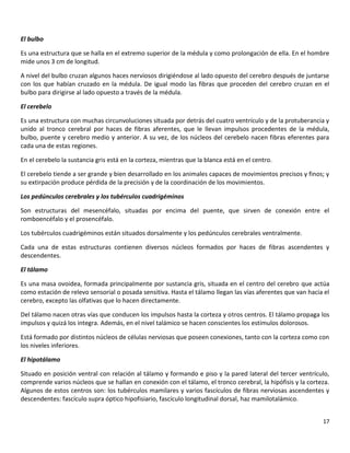 17
El bulbo
Es una estructura que se halla en el extremo superior de la médula y como prolongación de ella. En el hombre
mide unos 3 cm de longitud.
A nivel del bulbo cruzan algunos haces nerviosos dirigiéndose al lado opuesto del cerebro después de juntarse
con los que habían cruzado en la médula. De igual modo las fibras que proceden del cerebro cruzan en el
bulbo para dirigirse al lado opuesto a través de la médula.
El cerebelo
Es una estructura con muchas circunvoluciones situada por detrás del cuatro ventrículo y de la protuberancia y
unido al tronco cerebral por haces de fibras aferentes, que le llevan impulsos procedentes de la médula,
bulbo, puente y cerebro medio y anterior. A su vez, de los núcleos del cerebelo nacen fibras eferentes para
cada una de estas regiones.
En el cerebelo la sustancia gris está en la corteza, mientras que la blanca está en el centro.
El cerebelo tiende a ser grande y bien desarrollado en los animales capaces de movimientos precisos y finos; y
su extirpación produce pérdida de la precisión y de la coordinación de los movimientos.
Los pedúnculos cerebrales y los tubérculos cuadrigéminos
Son estructuras del mesencéfalo, situadas por encima del puente, que sirven de conexión entre el
romboencéfalo y el prosencéfalo.
Los tubérculos cuadrigéminos están situados dorsalmente y los pedúnculos cerebrales ventralmente.
Cada una de estas estructuras contienen diversos núcleos formados por haces de fibras ascendentes y
descendentes.
El tálamo
Es una masa ovoidea, formada principalmente por sustancia gris, situada en el centro del cerebro que actúa
como estación de relevo sensorial o posada sensitiva. Hasta el tálamo llegan las vías aferentes que van hacia el
cerebro, excepto las olfativas que lo hacen directamente.
Del tálamo nacen otras vías que conducen los impulsos hasta la corteza y otros centros. El tálamo propaga los
impulsos y quizá los integra. Además, en el nivel talámico se hacen conscientes los estímulos dolorosos.
Está formado por distintos núcleos de células nerviosas que poseen conexiones, tanto con la corteza como con
los niveles inferiores.
El hipotálamo
Situado en posición ventral con relación al tálamo y formando e piso y la pared lateral del tercer ventrículo,
comprende varios núcleos que se hallan en conexión con el tálamo, el tronco cerebral, la hipófisis y la corteza.
Algunos de estos centros son: los tubérculos mamilares y varios fascículos de fibras nerviosas ascendentes y
descendentes: fascículo supra óptico hipofisiario, fascículo longitudinal dorsal, haz mamilotalámico.
 