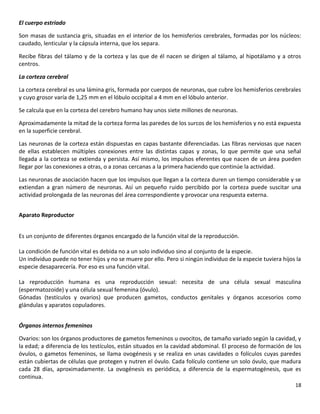 18
El cuerpo estriado
Son masas de sustancia gris, situadas en el interior de los hemisferios cerebrales, formadas por los núcleos:
caudado, lenticular y la cápsula interna, que los separa.
Recibe fibras del tálamo y de la corteza y las que de él nacen se dirigen al tálamo, al hipotálamo y a otros
centros.
La corteza cerebral
La corteza cerebral es una lámina gris, formada por cuerpos de neuronas, que cubre los hemisferios cerebrales
y cuyo grosor varía de 1,25 mm en el lóbulo occipital a 4 mm en el lóbulo anterior.
Se calcula que en la corteza del cerebro humano hay unos siete millones de neuronas.
Aproximadamente la mitad de la corteza forma las paredes de los surcos de los hemisferios y no está expuesta
en la superficie cerebral.
Las neuronas de la corteza están dispuestas en capas bastante diferenciadas. Las fibras nerviosas que nacen
de ellas establecen múltiples conexiones entre las distintas capas y zonas, lo que permite que una señal
llegada a la corteza se extienda y persista. Así mismo, los impulsos eferentes que nacen de un área pueden
llegar por las conexiones a otras, o a zonas cercanas a la primera haciendo que continúe la actividad.
Las neuronas de asociación hacen que los impulsos que llegan a la corteza duren un tiempo considerable y se
extiendan a gran número de neuronas. Así un pequeño ruido percibido por la corteza puede suscitar una
actividad prolongada de las neuronas del área correspondiente y provocar una respuesta externa.
Aparato Reproductor
Es un conjunto de diferentes órganos encargado de la función vital de la reproducción.
La condición de función vital es debida no a un solo individuo sino al conjunto de la especie.
Un individuo puede no tener hijos y no se muere por ello. Pero si ningún individuo de la especie tuviera hijos la
especie desaparecería. Por eso es una función vital.
La reproducción humana es una reproducción sexual: necesita de una célula sexual masculina
(espermatozoide) y una célula sexual femenina (óvulo).
Gónadas (testículos y ovarios) que producen gametos, conductos genitales y órganos accesorios como
glándulas y aparatos copuladores.
Órganos internos femeninos
Ovarios: son los órganos productores de gametos femeninos u ovocitos, de tamaño variado según la cavidad, y
la edad; a diferencia de los testículos, están situados en la cavidad abdominal. El proceso de formación de los
óvulos, o gametos femeninos, se llama ovogénesis y se realiza en unas cavidades o folículos cuyas paredes
están cubiertas de células que protegen y nutren el óvulo. Cada folículo contiene un solo óvulo, que madura
cada 28 días, aproximadamente. La ovogénesis es periódica, a diferencia de la espermatogénesis, que es
continua.
 