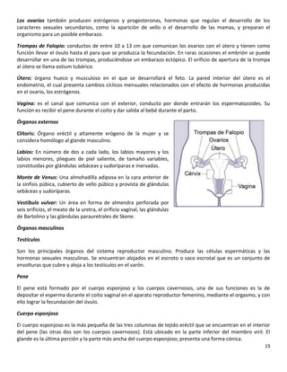 19
Los ovarios también producen estrógenos y progesteronas, hormonas que regulan el desarrollo de los
caracteres sexuales secundarios, como la aparición de vello o el desarrollo de las mamas, y preparan el
organismo para un posible embarazo.
Trompas de Falopio: conductos de entre 10 a 13 cm que comunican los ovarios con el útero y tienen como
función llevar el óvulo hasta él para que se produzca la fecundación. En raras ocasiones el embrión se puede
desarrollar en una de las trompas, produciéndose un embarazo ectópico. El orificio de apertura de la trompa
al útero se llama ostium tubárico.
Útero: órgano hueco y musculoso en el que se desarrollará el feto. La pared interior del útero es el
endometrio, el cual presenta cambios cíclicos mensuales relacionados con el efecto de hormonas producidas
en el ovario, los estrógenos.
Vagina: es el canal que comunica con el exterior, conducto por donde entrarán los espermatozoides. Su
función es recibir el pene durante el coito y dar salida al bebé durante el parto.
Órganos externos
Clítoris: Órgano eréctil y altamente erógeno de la mujer y se
considera homólogo al glande masculino.
Labios: En número de dos a cada lado, los labios mayores y los
labios menores, pliegues de piel saliente, de tamaño variables,
constituidas por glándulas sebáceas y sudoríparas e inervadas.
Monte de Venus: Una almohadilla adiposa en la cara anterior de
la sínfisis púbica, cubierto de vello púbico y provista de glándulas
sebáceas y sudoríparas.
Vestíbulo vulvar: Un área en forma de almendra perforada por
seis orificios, el meato de la uretra, el orificio vaginal, las glándulas
de Bartolino y las glándulas parauretrales de Skene.
Órganos masculinos
Testículos
Son los principales órganos del sistema reproductor masculino. Produce las células espermáticas y las
hormonas sexuales masculinas. Se encuentran alojados en el escroto o saco escrotal que es un conjunto de
envolturas que cubre y aloja a los testículos en el varón.
Pene
El pene está formado por el cuerpo esponjoso y los cuerpos cavernosos, una de sus funciones es la de
depositar el esperma durante el coito vaginal en el aparato reproductor femenino, mediante el orgasmo, y con
ello lograr la fecundación del óvulo.
Cuerpo esponjoso
El cuerpo esponjoso es la más pequeña de las tres columnas de tejido eréctil que se encuentran en el interior
del pene (las otras dos son los cuerpos cavernosos). Está ubicado en la parte inferior del miembro viril. El
glande es la última porción y la parte más ancha del cuerpo esponjoso; presenta una forma cónica.
 