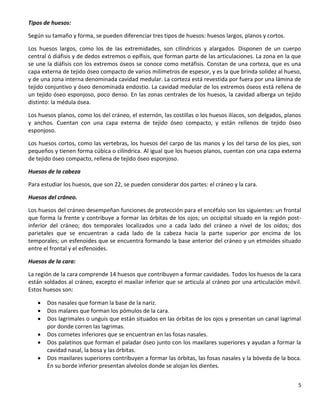 5
Tipos de huesos:
Según su tamaño y forma, se pueden diferenciar tres tipos de huesos: huesos largos, planos y cortos.
Los huesos largos, como los de las extremidades, son cilíndricos y alargados. Disponen de un cuerpo
central ó diáfisis y de dedos extremos o epífisis, que forman parte de las articulaciones. La zona en la que
se une la diáfisis con los extremos óseos se conoce como metáfisis. Constan de una corteza, que es una
capa externa de tejido óseo compacto de varios milímetros de espesor, y es la que brinda solidez al hueso,
y de una zona interna denominada cavidad medular. La corteza está revestida por fuera por una lámina de
tejido conjuntivo y óseo denominada endostio. La cavidad medular de los extremos óseos está rellena de
un tejido óseo esponjoso, poco denso. En las zonas centrales de los huesos, la cavidad alberga un tejido
distinto: la médula ósea.
Los huesos planos, como los del cráneo, el esternón, las costillas o los huesos ilíacos, son delgados, planos
y anchos. Cuentan con una capa externa de tejido óseo compacto, y están rellenos de tejido óseo
esponjoso.
Los huesos cortos, como las vertebras, los huesos del carpo de las manos y los del tarso de los pies, son
pequeños y tienen forma cúbica o cilíndrica. Al igual que los huesos planos, cuentan con una capa externa
de tejido óseo compacto, rellena de tejido óseo esponjoso.
Huesos de la cabeza
Para estudiar los huesos, que son 22, se pueden considerar dos partes: el cráneo y la cara.
Huesos del cráneo.
Los huesos del cráneo desempeñan funciones de protección para el encéfalo son los siguientes: un frontal
que forma la frente y contribuye a formar las órbitas de los ojos; un occipital situado en la región post-
inferior del cráneo; dos temporales localizados uno a cada lado del cráneo a nivel de los oídos; dos
parietales que se encuentran a cada lado de la cabeza hacia la parte superior por encima de los
temporales; un esfenoides que se encuentra formando la base anterior del cráneo y un etmoides situado
entre el frontal y el esfenoides.
Huesos de la cara:
La región de la cara comprende 14 huesos que contribuyen a formar cavidades. Todos los huesos de la cara
están soldados al cráneo, excepto el maxilar inferior que se articula al cráneo por una articulación móvil.
Estos huesos son:
 Dos nasales que forman la base de la nariz.
 Dos malares que forman los pómulos de la cara.
 Dos lagrimales o unguis que están situados en las órbitas de los ojos y presentan un canal lagrimal
por donde corren las lagrimas.
 Dos cornetes inferiores que se encuentran en las fosas nasales.
 Dos palatinos que forman el paladar óseo junto con los maxilares superiores y ayudan a formar la
cavidad nasal, la bosa y las órbitas.
 Dos maxilares superiores contribuyen a formar las órbitas, las fosas nasales y la bóveda de la boca.
En su borde inferior presentan alvéolos donde se alojan los dientes.
 