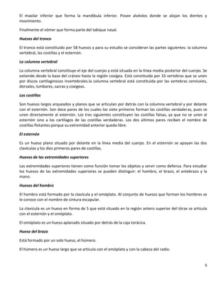 6
El maxilar inferior que forma la mandíbula inferior. Posee alvéolos donde se alojan los dientes y
movimiento.
Finalmente el vómer que forma parte del tabique nasal.
Huesos del tronco
El tronco está constituido por 58 huesos y para su estudio se consideran las partes siguientes: la columna
vertebral, las costillas y el esternón.
La columna vertebral
La columna vertebral constituye el eje del cuerpo y está situada en la línea media posterior del cuerpo. Se
extiende desde la base del cráneo hasta la región coxígea. Está constituida por 33 vertebras que se unen
por discos cartilaginosos invertebrales.la columna vertebral está constituida por las vertebras cervicales,
dorsales, lumbares, sacras y coxígeas.
Las costillas
Son huesos largos arqueados y planos que se articulan por detrás con la columna vertebral y por delante
con el esternón. Son doce pares de los cuales los siete primeros forman las costillas verdaderas, pues se
unen directamente al esternón. Los tres siguientes constituyen las costillas falsas, ya que no se unen al
esternón sino a los cartílagos de las costillas verdaderas. Los dos últimos pares reciben el nombre de
costillas flotantes porque su extremidad anterior queda libre.
El esternón
Es un hueso plano situado por delante en la línea media del cuerpo. En el esternón se apoyan las dos
clavículas y los diez primeros pares de costillas.
Huesos de las extremidades superiores
Las extremidades superiores tienen como función tomar los objetos y servir como defensa. Para estudiar
los huesos de las extremidades superiores se pueden distinguir: el hombro, el brazo, el antebrazo y la
mano.
Huesos del hombro
El hombro está formado por la clavícula y el omóplato. Al conjunto de huesos que forman los hombres se
le conoce con el nombre de cintura escapular.
La clavícula es un hueso en forma de S que está situado en la región antero superior del tórax se articula
con el esternón y el omóplato.
El omóplato es un hueso aplanado situado por detrás de la caja torácica.
Hueso del brazo
Está formado por un solo hueso, el húmero.
El húmero es un hueso largo que se articula con el omóplato y con la cabeza del radio.
 