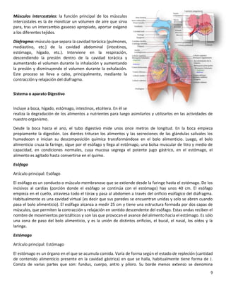 9
Músculos intercostales: la función principal de los músculos
intercostales es la de movilizar un volumen de aire que sirva
para, tras un intercambio gaseoso apropiado, aportar oxígeno
a los diferentes tejidos.
Diafragma: músculo que separa la cavidad torácica (pulmones,
mediastino, etc.) de la cavidad abdominal (intestinos,
estómago, hígado, etc.). Interviene en la respiración,
descendiendo la presión dentro de la cavidad torácica y
aumentando el volumen durante la inhalación y aumentando
la presión y disminuyendo el volumen durante la exhalación.
Este proceso se lleva a cabo, principalmente, mediante la
contracción y relajación del diafragma.
Sistema o aparato Digestivo
Incluye a boca, hígado, estómago, intestinos, etcétera. En él se
realiza la degradación de los alimentos a nutrientes para luego asimilarlos y utilizarlos en las actividades de
nuestro organismo.
Desde la boca hasta el ano, el tubo digestivo mide unos once metros de longitud. En la boca empieza
propiamente la digestión. Los dientes trituran los alimentos y las secreciones de las glándulas salivales los
humedecen e inician su descomposición química transformándose en el bolo alimenticio. Luego, el bolo
alimenticio cruza la faringe, sigue por el esófago y llega al estómago, una bolsa muscular de litro y medio de
capacidad, en condiciones normales, cuya mucosa segrega el potente jugo gástrico, en el estómago, el
alimento es agitado hasta convertirse en el quimo.
Esófago
Artículo principal: Esófago
El esófago es un conducto o músculo membranoso que se extiende desde la faringe hasta el estómago. De los
incisivos al cardias (porción donde el esófago se continúa con el estómago) hay unos 40 cm. El esófago
empieza en el cuello, atraviesa todo el tórax y pasa al abdomen a través del orificio esofágico del diafragma.
Habitualmente es una cavidad virtual (es decir que sus paredes se encuentran unidas y solo se abren cuando
pasa el bolo alimenticio). El esófago alcanza a medir 25 cm y tiene una estructura formada por dos capas de
músculos, que permiten la contracción y relajación en sentido descendente del esófago. Estas ondas reciben el
nombre de movimientos peristálticos y son las que provocan el avance del alimento hacia el estómago. Es sólo
una zona de paso del bolo alimenticio, y es la unión de distintos orificios, el bucal, el nasal, los oídos y la
laringe.
Estómago
Artículo principal: Estómago
El estómago es un órgano en el que se acumula comida. Varía de forma según el estado de repleción (cantidad
de contenido alimenticio presente en la cavidad gástrica) en que se halla, habitualmente tiene forma de J.
Consta de varias partes que son: fundus, cuerpo, antro y píloro. Su borde menos extenso se denomina
 