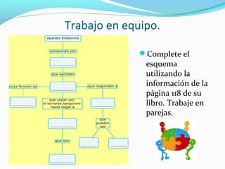 Trabajo en equipo.
Complete el
esquema
utilizando la
información de la
página 118 de su
libro. Trabaje en
parejas.
 
