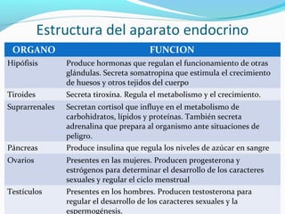 Estructura del aparato endocrino
ORGANO FUNCION
Hipófisis Produce hormonas que regulan el funcionamiento de otras
glándulas. Secreta somatropina que estimula el crecimiento
de huesos y otros tejidos del cuerpo
Tiroides Secreta tiroxina. Regula el metabolismo y el crecimiento.
Suprarrenales Secretan cortisol que influye en el metabolismo de
carbohidratos, lípidos y proteínas. También secreta
adrenalina que prepara al organismo ante situaciones de
peligro.
Páncreas Produce insulina que regula los niveles de azúcar en sangre
Ovarios Presentes en las mujeres. Producen progesterona y
estrógenos para determinar el desarrollo de los caracteres
sexuales y regular el ciclo menstrual
Testículos Presentes en los hombres. Producen testosterona para
regular el desarrollo de los caracteres sexuales y la
espermogénesis.
 
