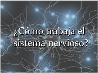 ¿Cómo trabaja el¿Cómo trabaja el
sistema nervioso?sistema nervioso?
 