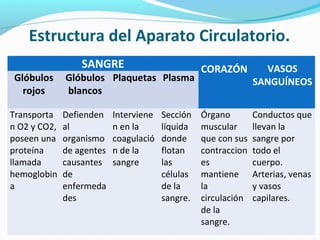 Estructura del Aparato Circulatorio.
SANGRE CORAZÓN VASOS
SANGUÍNEOSGlóbulos
rojos
Glóbulos
blancos
Plaquetas Plasma
Transporta
n O2 y CO2,
poseen una
proteína
llamada
hemoglobin
a
Defienden
al
organismo
de agentes
causantes
de
enfermeda
des
Interviene
n en la
coagulació
n de la
sangre
Sección
líquida
donde
flotan
las
células
de la
sangre.
Órgano
muscular
que con sus
contraccion
es
mantiene
la
circulación
de la
sangre.
Conductos que
llevan la
sangre por
todo el
cuerpo.
Arterias, venas
y vasos
capilares.
 