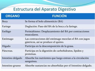 Estructura del Aparato Digestivo
ORGANO FUNCIÓN
Boca Se forma el bolo alimenticio (BA)
Faringe Deglución: Paso del BA de la boca a la faringe.
Esófago Peristaltismo: Desplazamiento del BA por contracciones
musculares.
Estómago Las contracciones del estómago mezclan el BA con jugos
gástricos, así se produce el quimo.
Hígado Participa en la descomposición de la grasa.
Páncreas. Participa en la digestión de carbohidratos, lípidos y
proteínas.
Intestino delgado Absorbe los nutrientes que luego entran a la circulación
sanguínea.
Intestino grueso Absorbe sustancias no absorbidas por el Intestino delgado.
 
