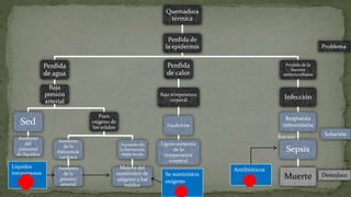Quemadura
térmica
Perdida de
la epidermis

Problema

Perdida
de agua

Perdida
de calor

Perdida de la
barrera
antimicrobiana

Baja
presión
arterial

Baja temperatura
corporal

Infección

Escalofríos

Respuesta
inmunitaria

Poco
oxigeno de
los tejidos

Sed
Aumento
del
consumo
de líquidos

Líquidos
intravenosos

fracaso

Aumento
de la
frecuencia
cardiaca

Aumento de
la frecuencia
respiratoria

Aumento
de la
presión
arterial

Mejora del
suministro de
oxigeno a los
tejidos

Ligero aumento
de la
temperatura
corporal

Se suministra
oxigeno

Solución

Sepsis
Antibióticos

Muerte

Desenlace

 