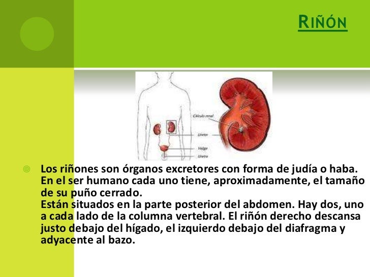 La hernia sheynogo del departamento quien ha sanado