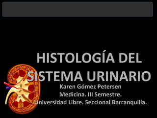 HISTOLOGÍA DEL      SISTEMA URINARIO Karen Gómez PetersenMedicina. III Semestre.Universidad Libre. Seccional Barranquilla. 