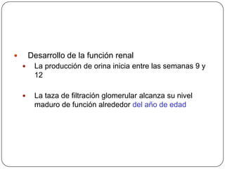 Desarrollo de la función renalLa producción de orina inicia entre las semanas 9 y 12La taza de filtración glomerular alcanza su nivel maduro de función alrededor del año de edad