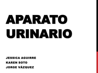 APARATO
URINARIO
JESSICA AGUIRRE
KAREN SOTO
JORGE VÁZQUEZ
 
