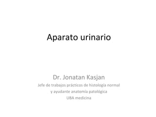 Aparato urinario Dr. Jonatan Kasjan Jefe de trabajos prácticos de histología normal y ayudante anatomía patológica  UBA medicina 
