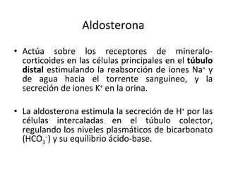 Aldosterona Actúa sobre los receptores de mineralo-corticoides en las células principales en el  túbulo distal  estimulando la reabsorción de iones Na +  y de agua hacia el torrente sanguíneo, y la secreción de iones K +  en la orina. La aldosterona estimula la secreción de H +  por las células intercaladas en el túbulo colector, regulando los niveles plasmáticos de bicarbonato (HCO 3 − ) y su equilibrio ácido-base. 